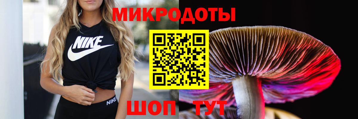 Галлюциногенные грибы Psilocybine cubensis  Вход с VPN  Знаменск 